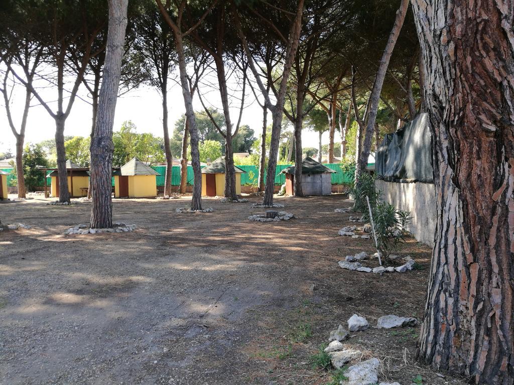 Hotel Paradiso Tarquinia Extérieur photo